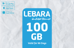 Lebara Data 100G 3M