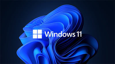 Microsoft® Windows 11 Pro