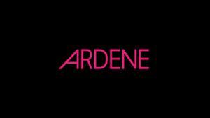 ARDENE - 100 SAR
