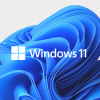 Microsoft® Windows 11 Home 