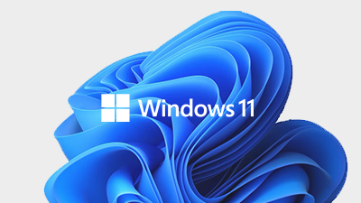 Microsoft® Windows 11 Home 